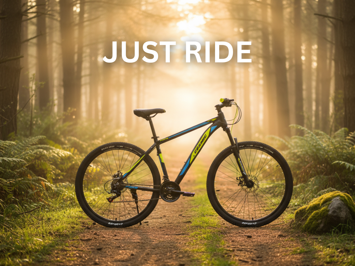 Cosmic 29 INDUS 24-Speed Dual Disc Bicycle