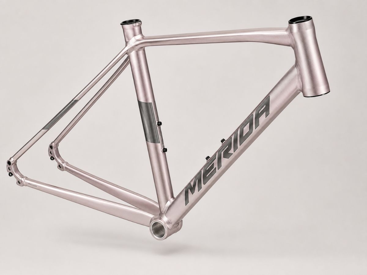 Merida Speeder 100 III1