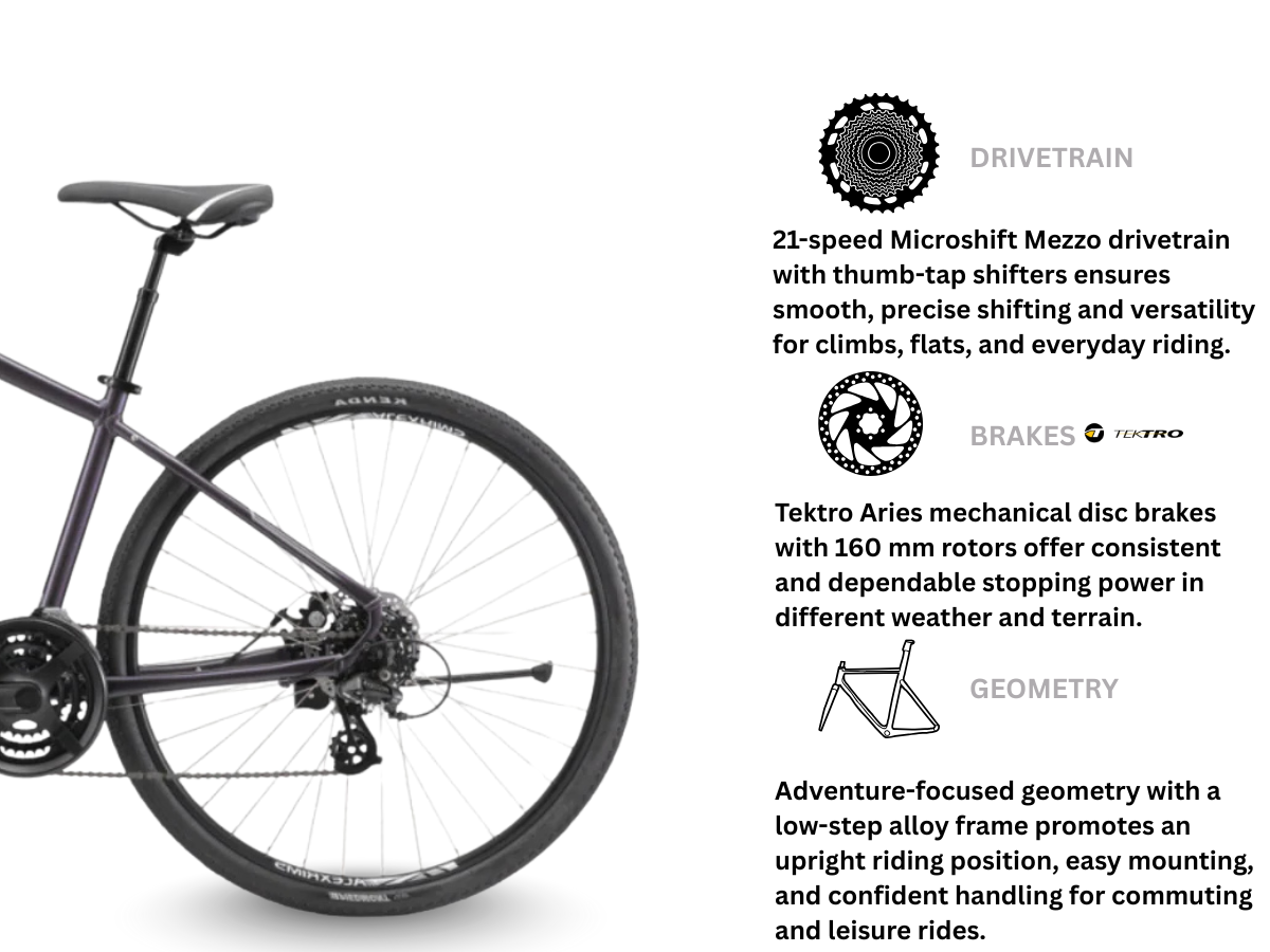 Avanti Discovery MS 1