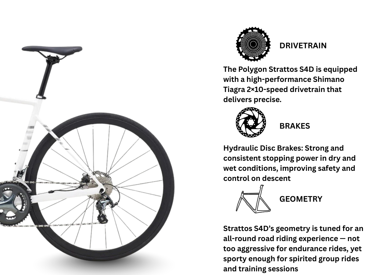 Polygon Strattos S4D