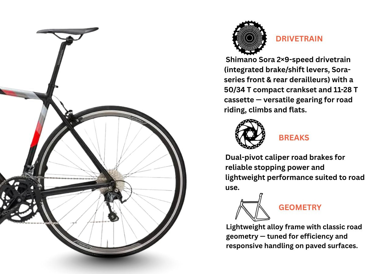 Willer Montegrappa Road Bike