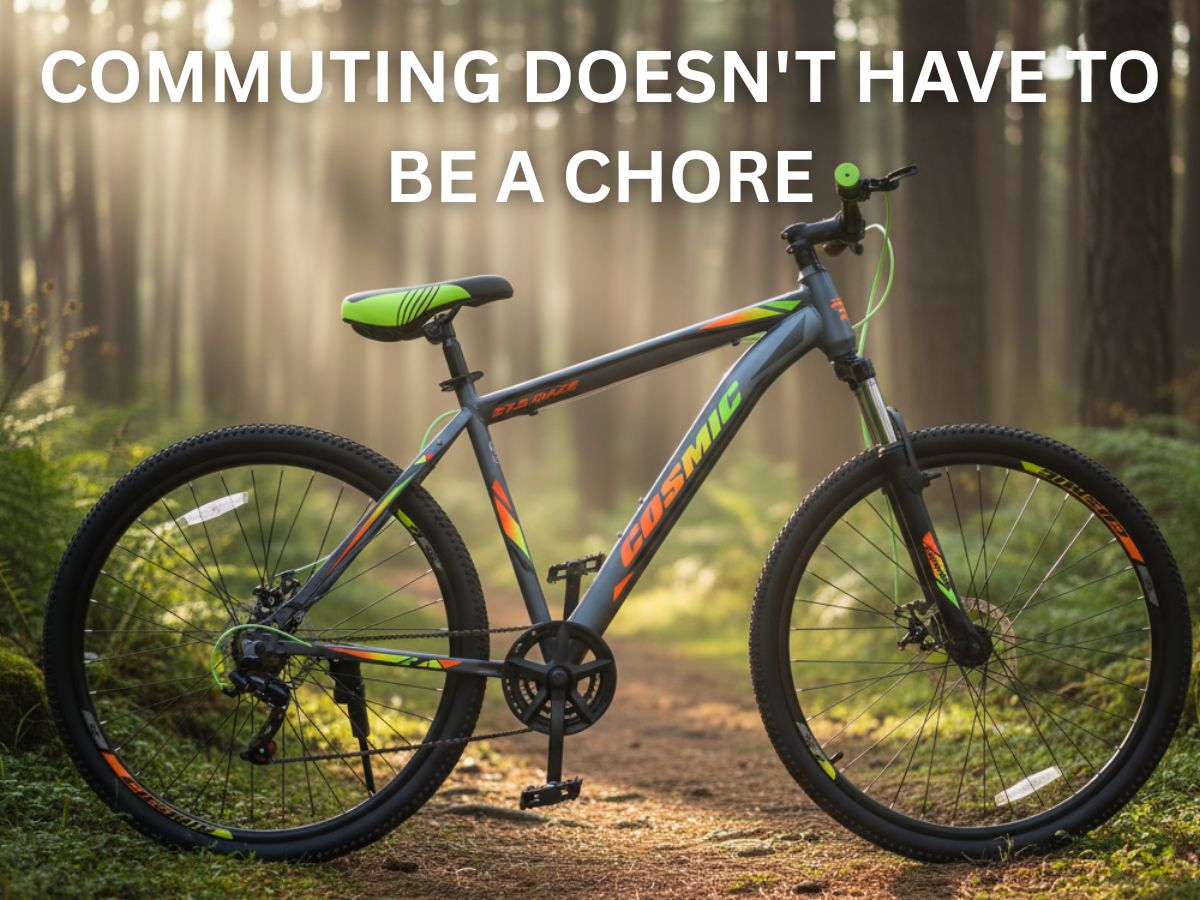 COSMIC 27.5 MAZE SS BICYCLE