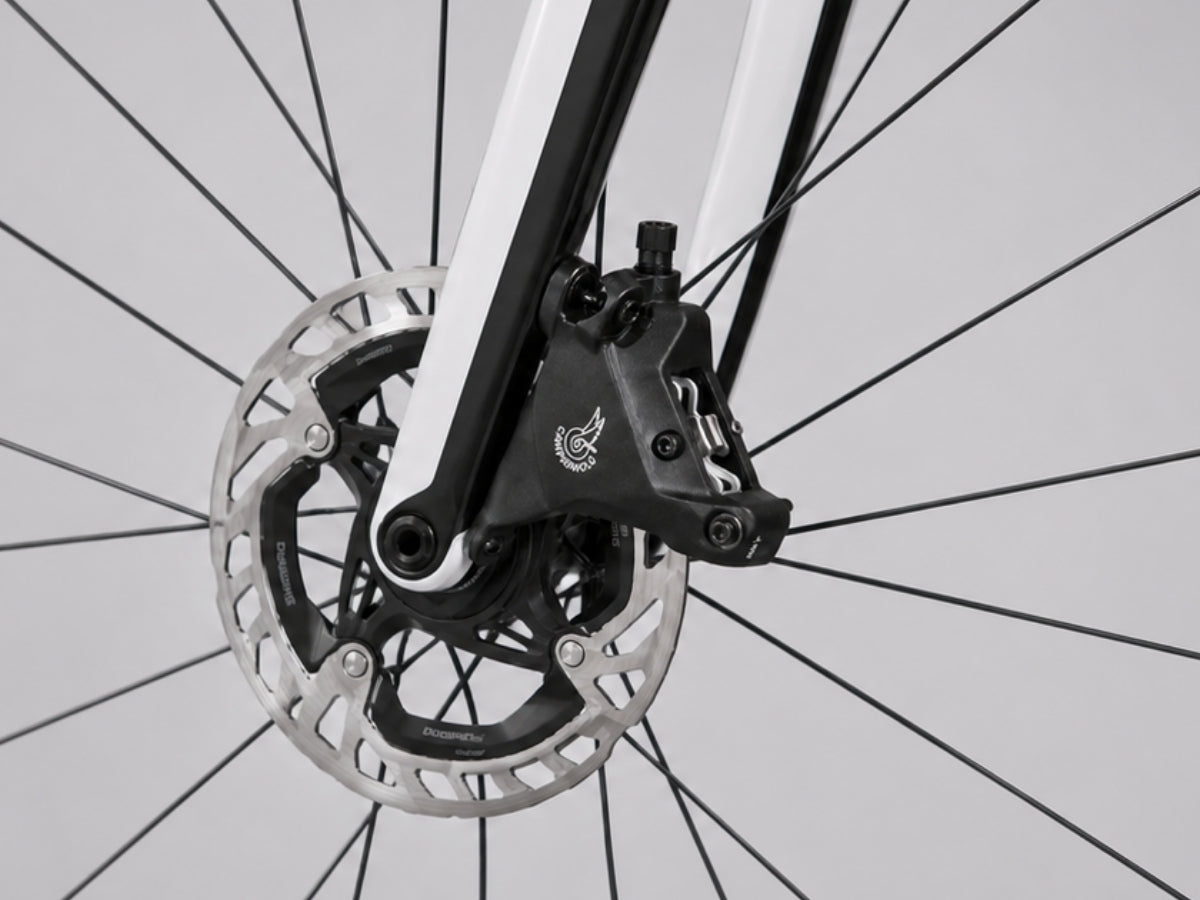 Look Bike 795 Blade RS Disc ULT DI2 GR1 Europe LOOK R38D