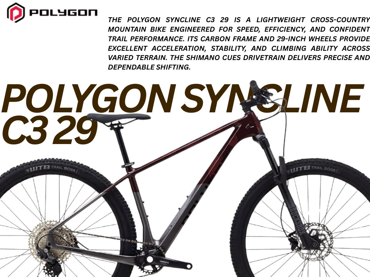 Polygon Syncline C3 29