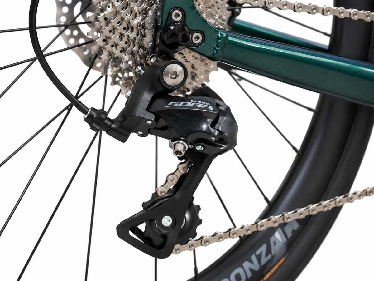Bonzai Endurance18 Road Bike