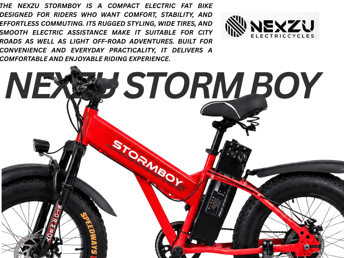 Nexzu Storm Boy