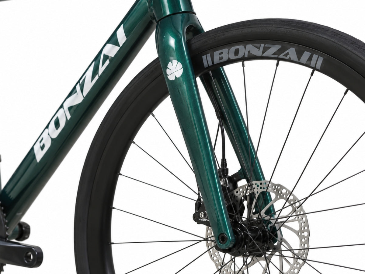 Bonzai Endurance18 Road Bike