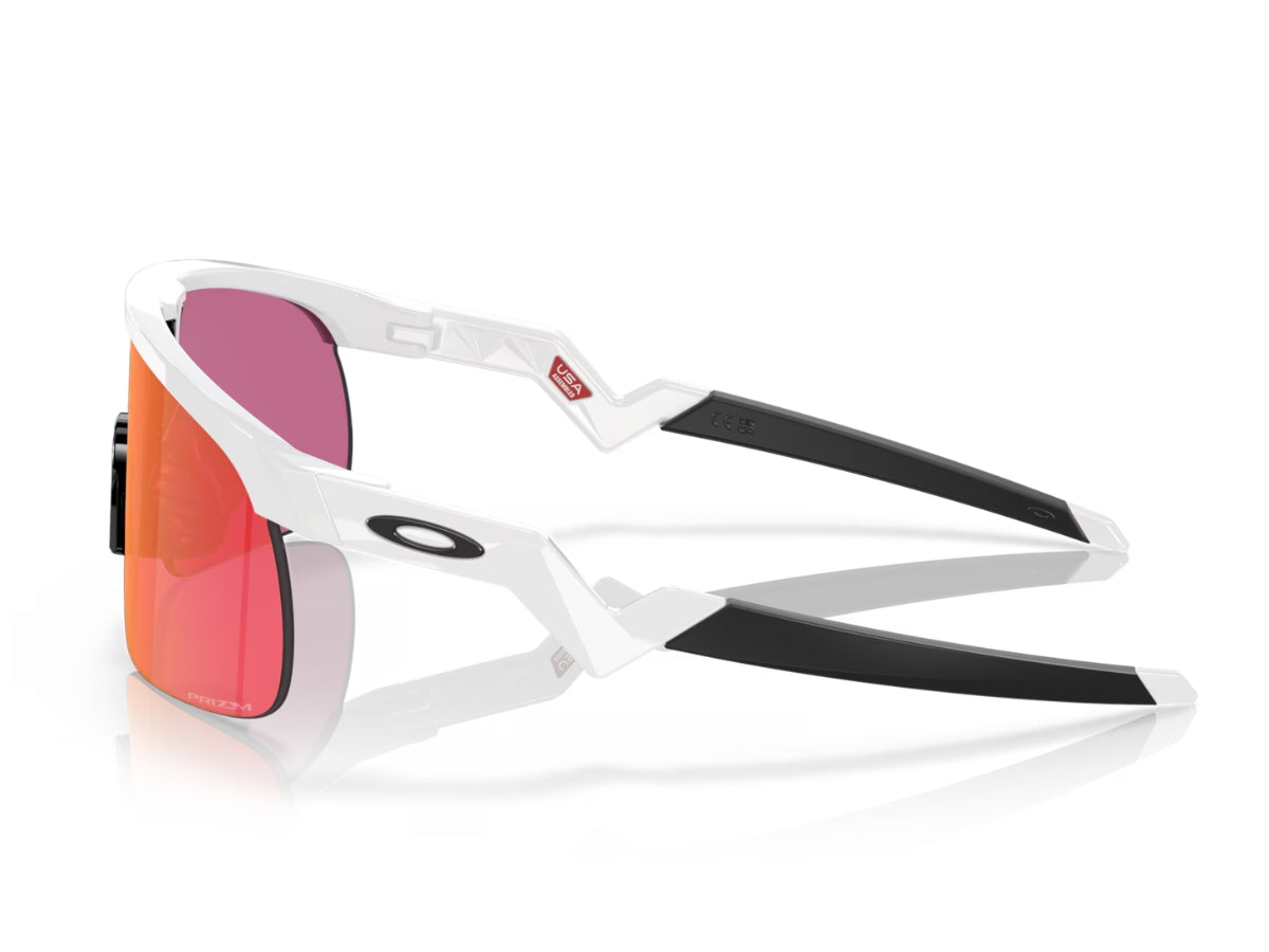 Oakley Resistor Polished White Prizm Field