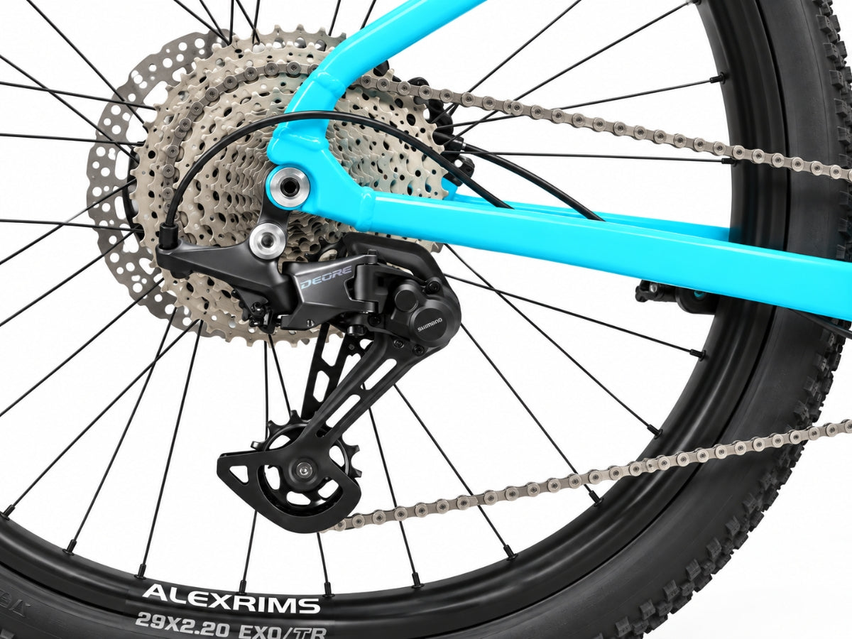 Bonzai Spear12 XC MTB