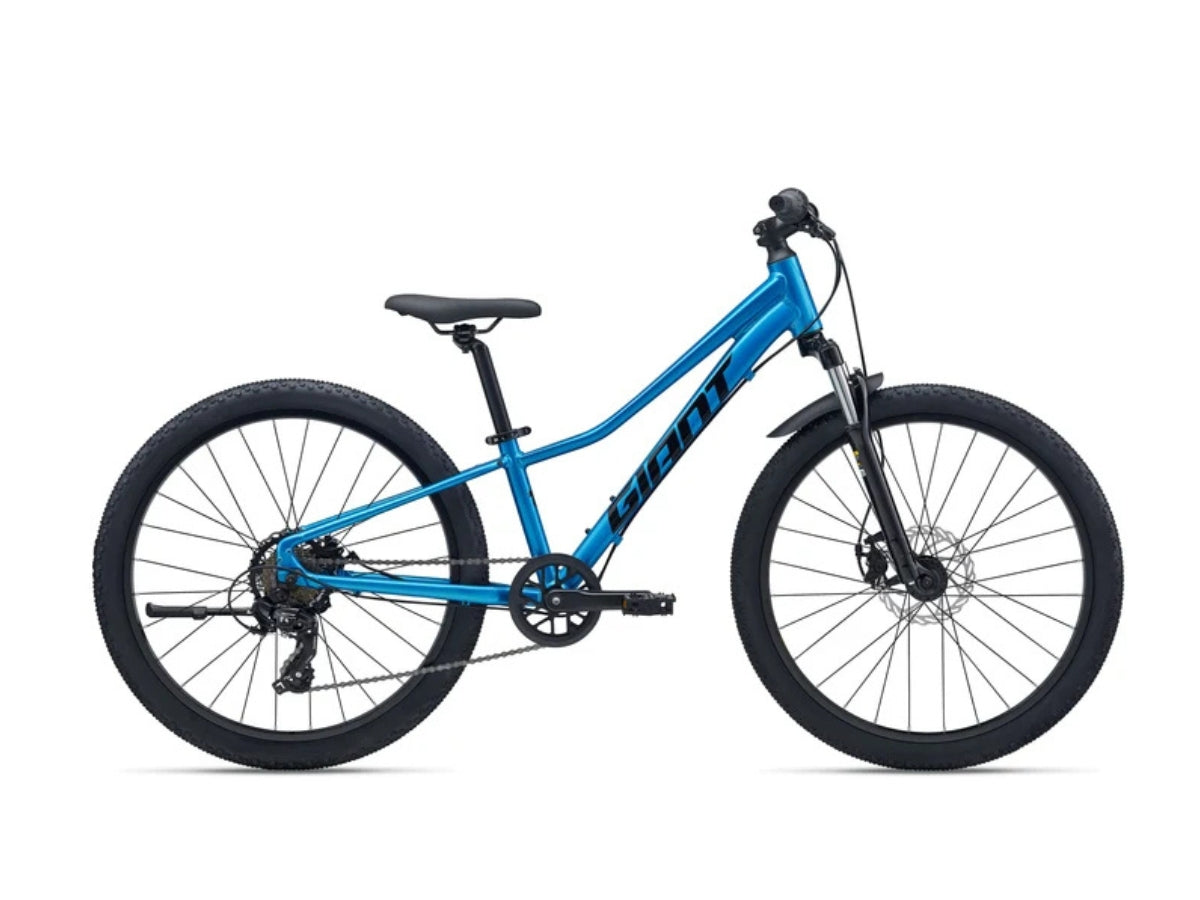 Giant Talon 24 Disc