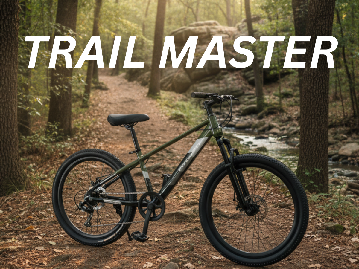 FitTrip Dominator 24 Single Speed