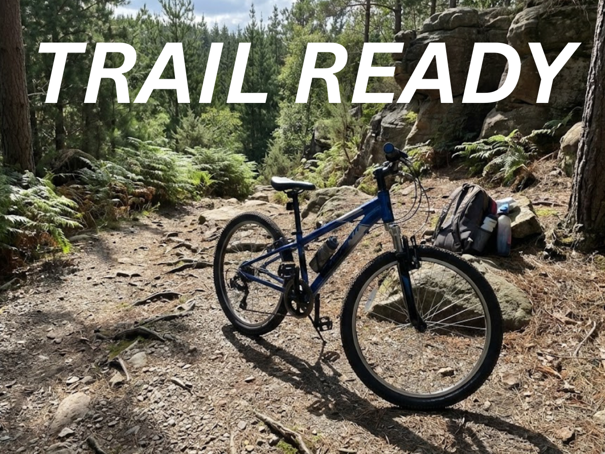 Avanti 24 Shadow 7-Speed Bicycle