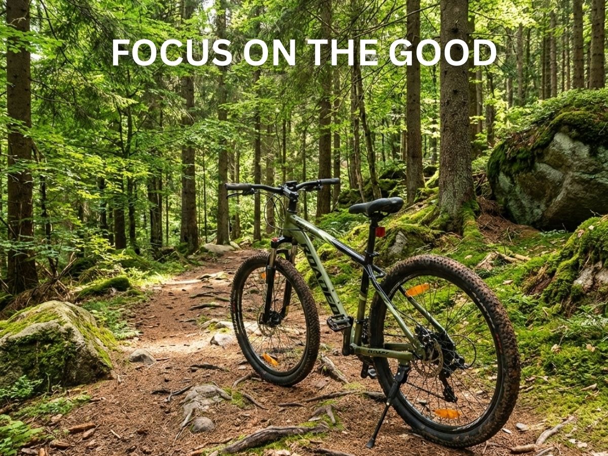 Roadeo Ryken - 27.5T