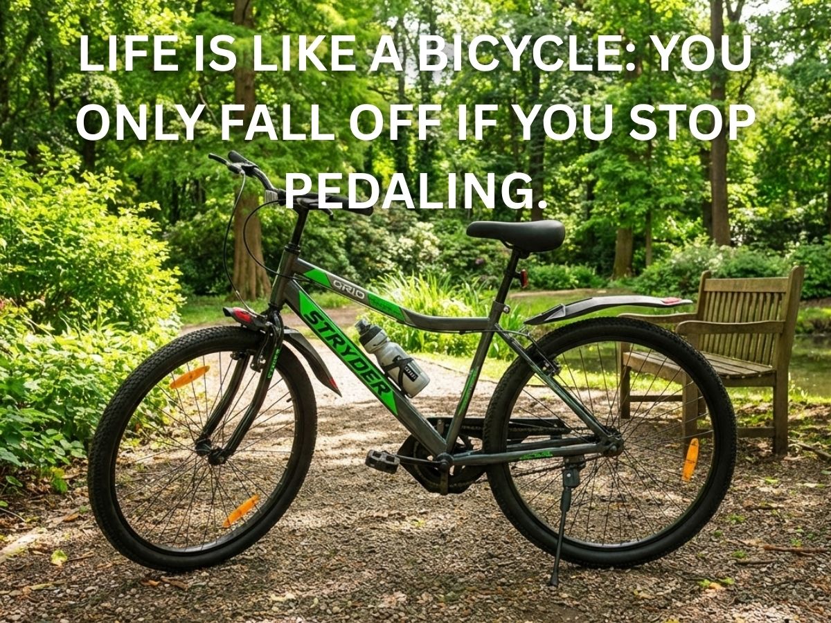 Stryder 26 Grid IC Bicycle