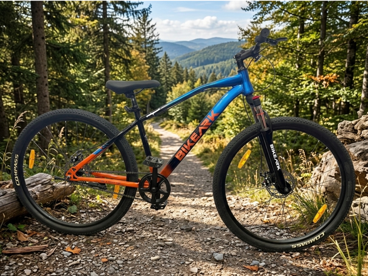 Bike Ark 29 God Speed SS Bicycle