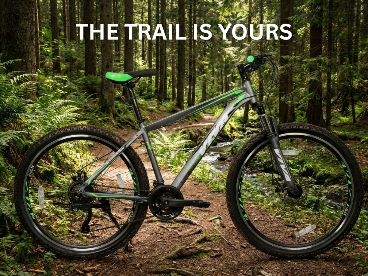 Viva 29 Speedo 21-Speed Bicycle