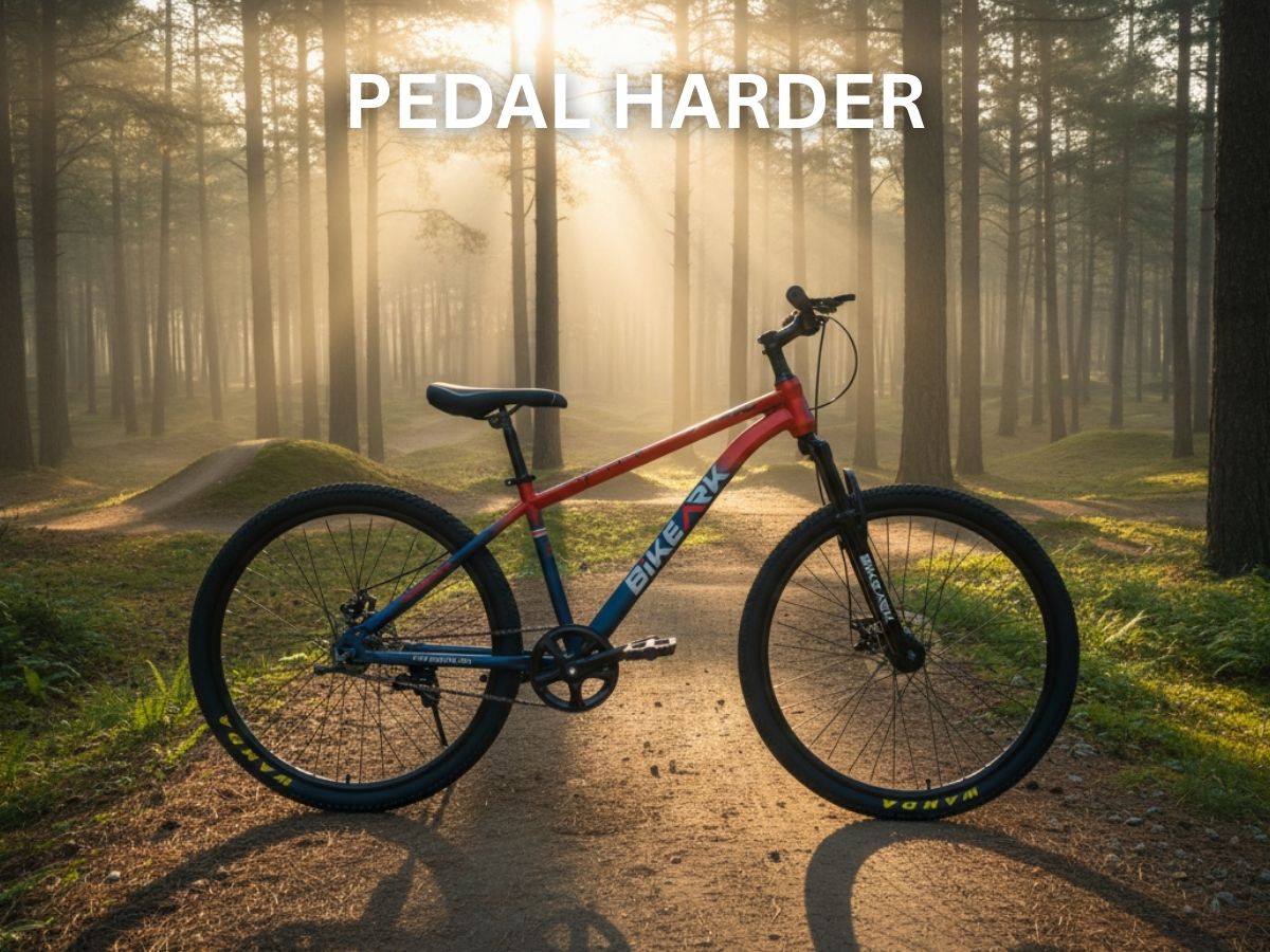 Bike Ark Adrenaline 27.5 SS Bicycle