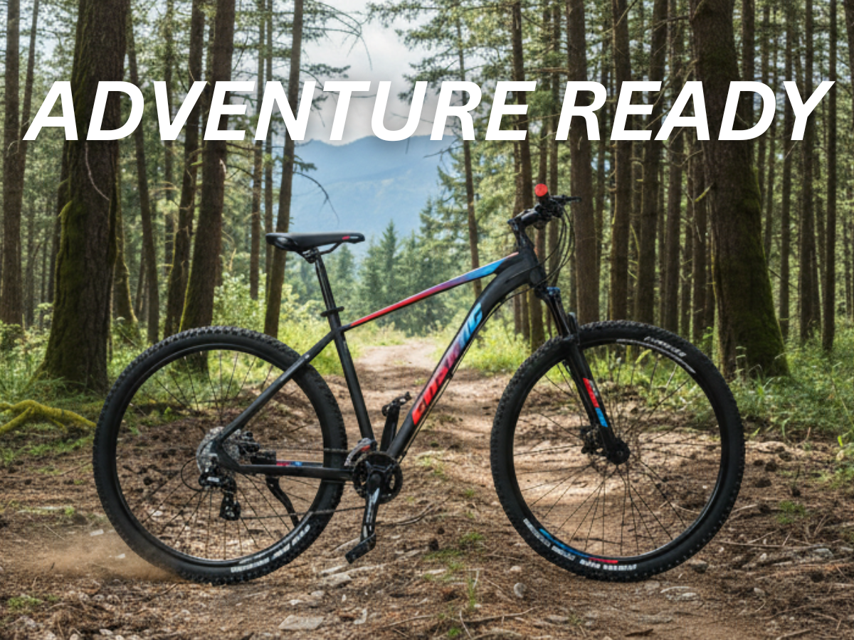 Cosmic 27.5 2800 Alloy 16-Speed Dual Disc Bicycle