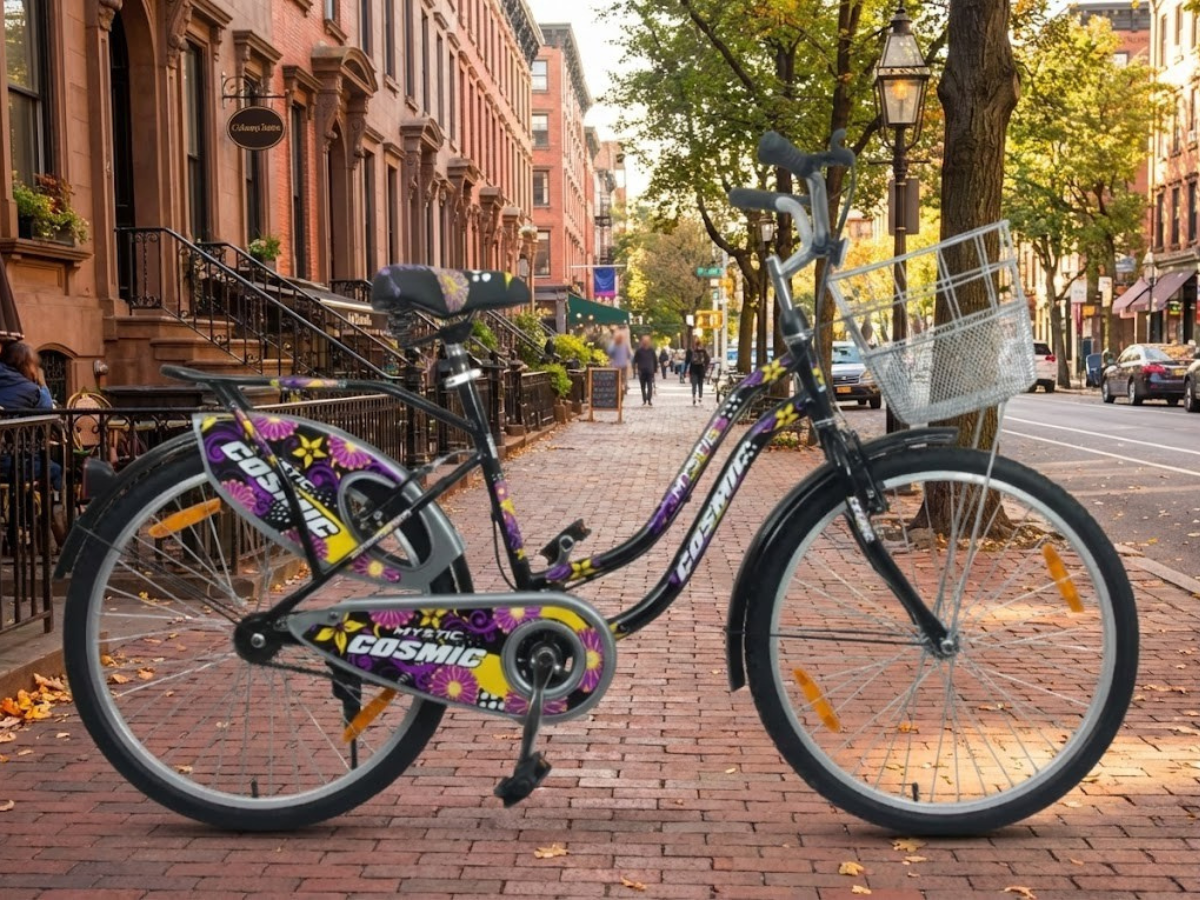 Cosmic 24 Mystic IBC Ladies Bicycle