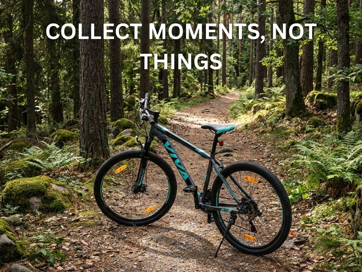 Viva 29 Evo VX 1.0 21-Speed Bicycle