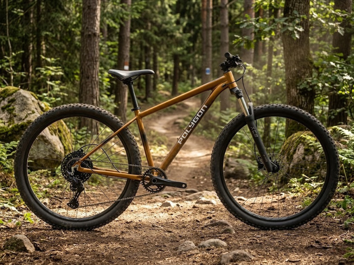 Polygon Cascade 5 29