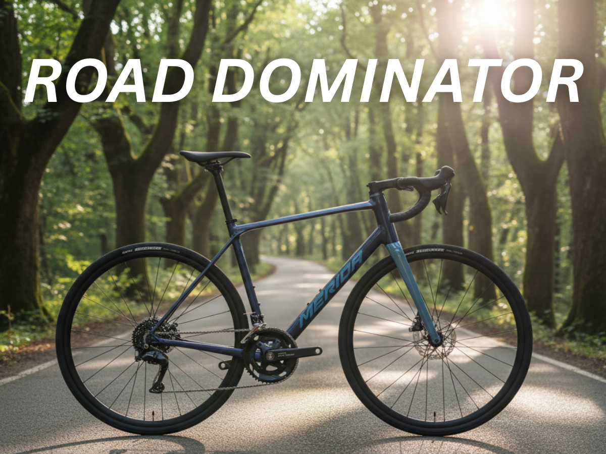 Merida Scultura Endurance 200