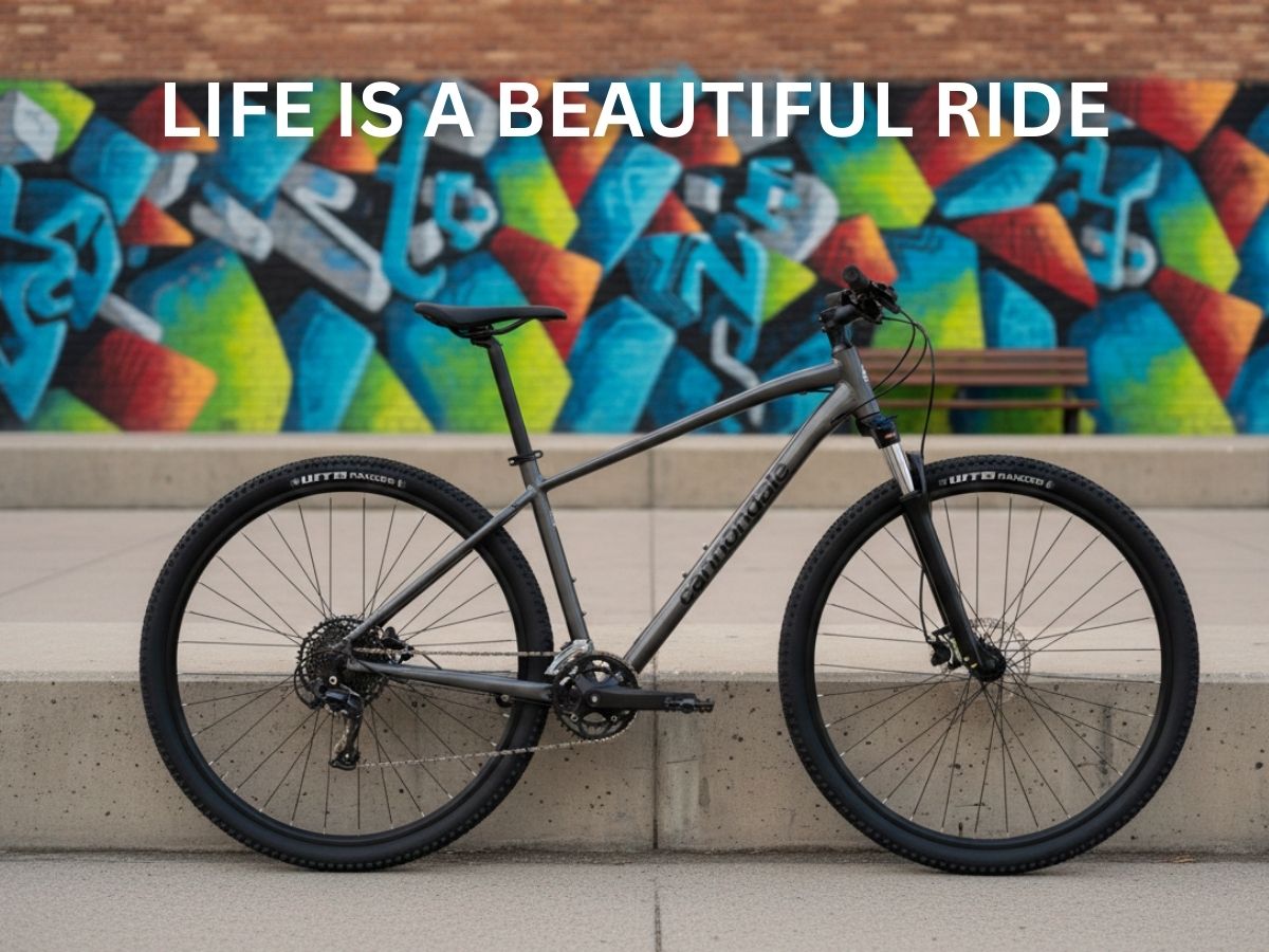 Cannondale Trail 5