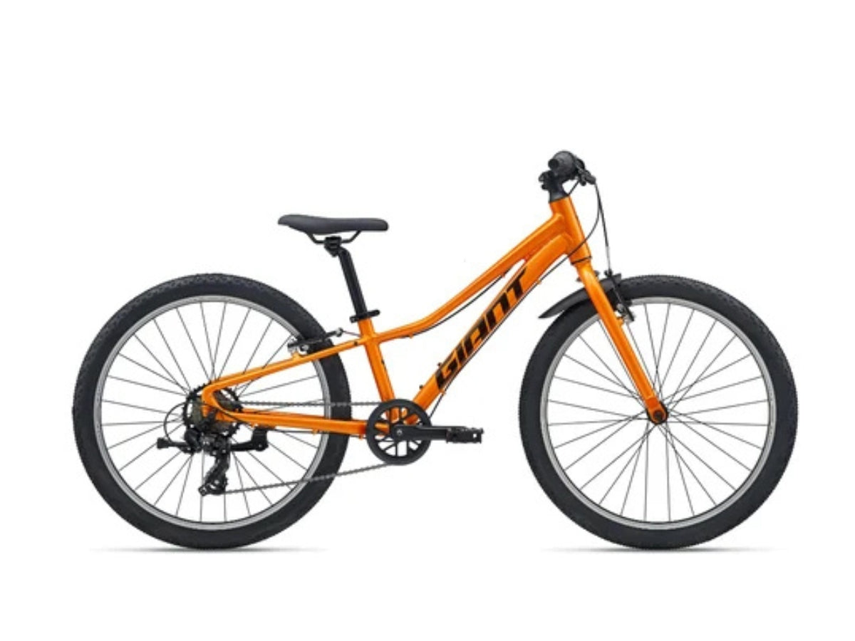 Giant Talon 24 Lite