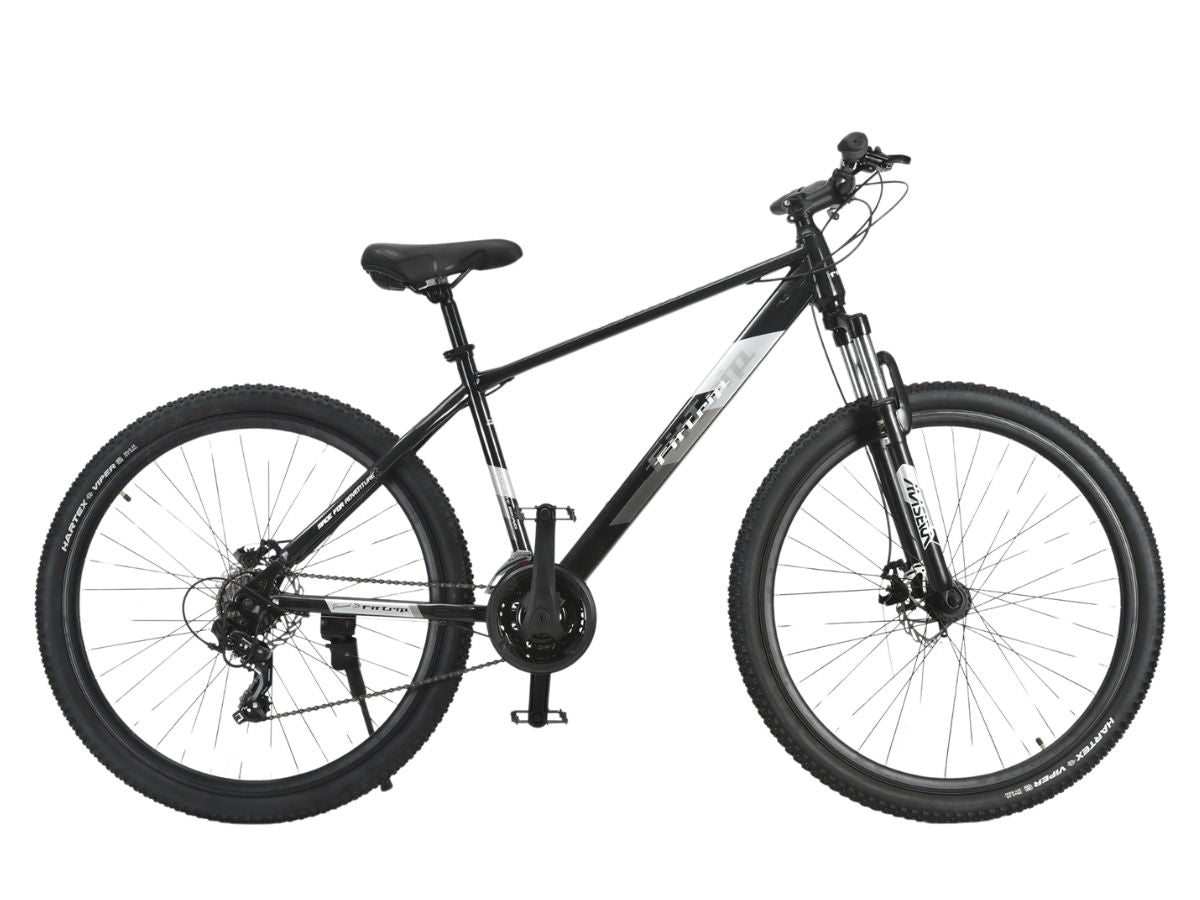 FitTrip 29 Dominator 21-Speed Bicycle