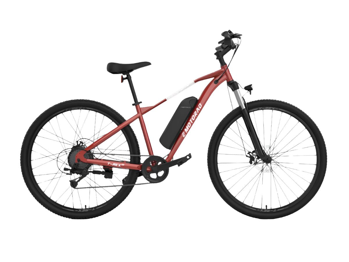 EMotorad 29 T-Rex Air