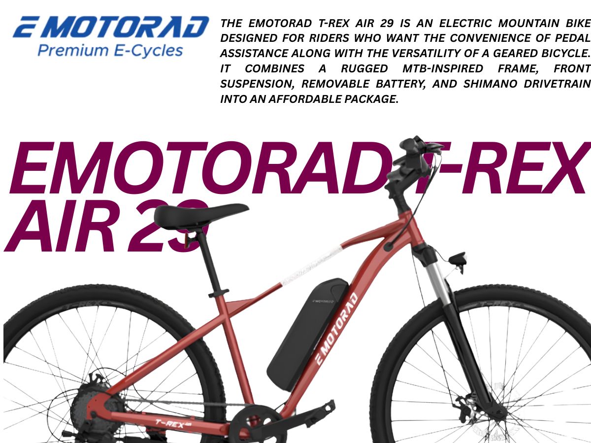 EMotorad 29 T-Rex Air