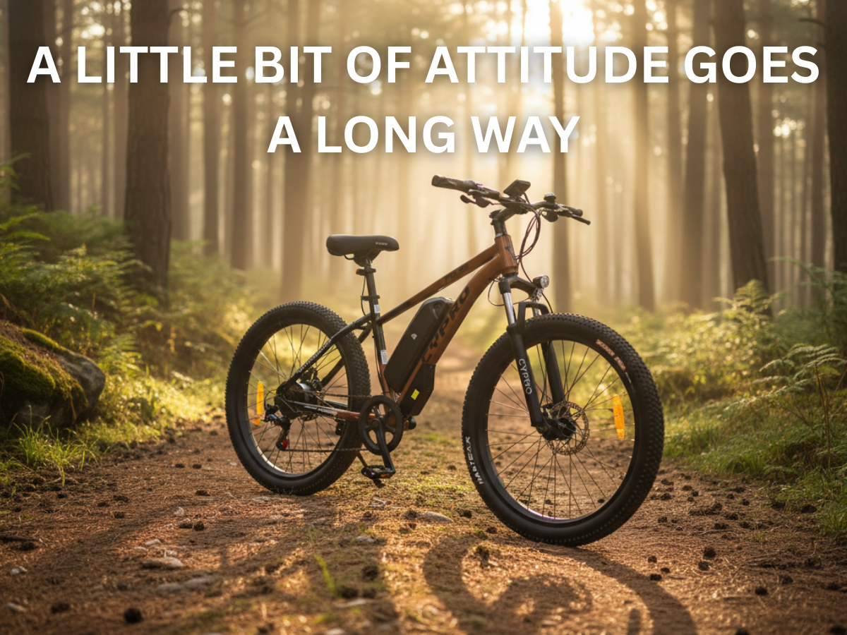 Cypro 26 Pulse II Gen E-Bicycle