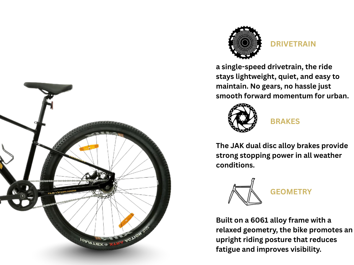 Montra 29T Country Single Speed Bicycle