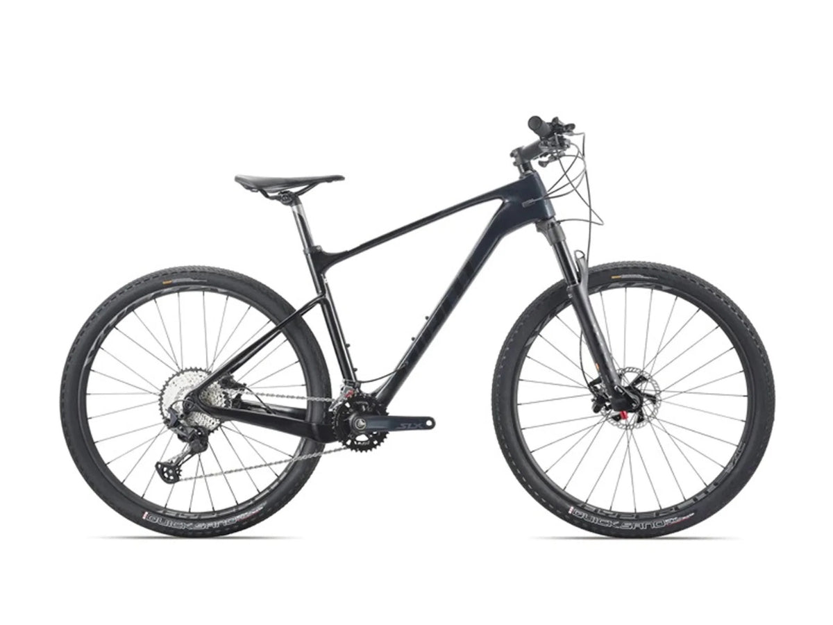 Giant Xtc Advanced 2