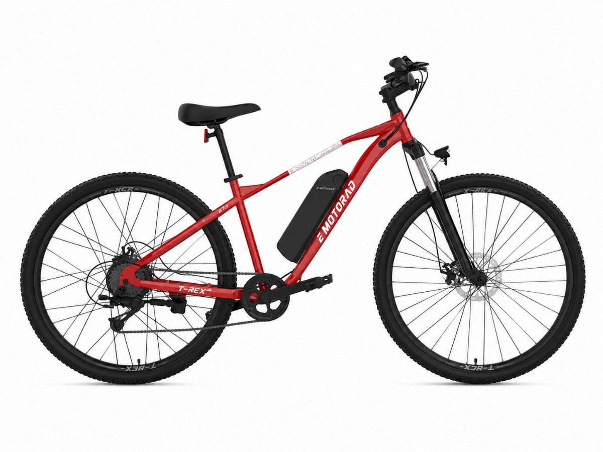 EMotorad 27.5 T-Rex Air