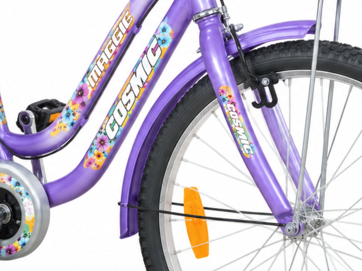 Cosmic 26 Maggie IBC SS Ladies Bicycle