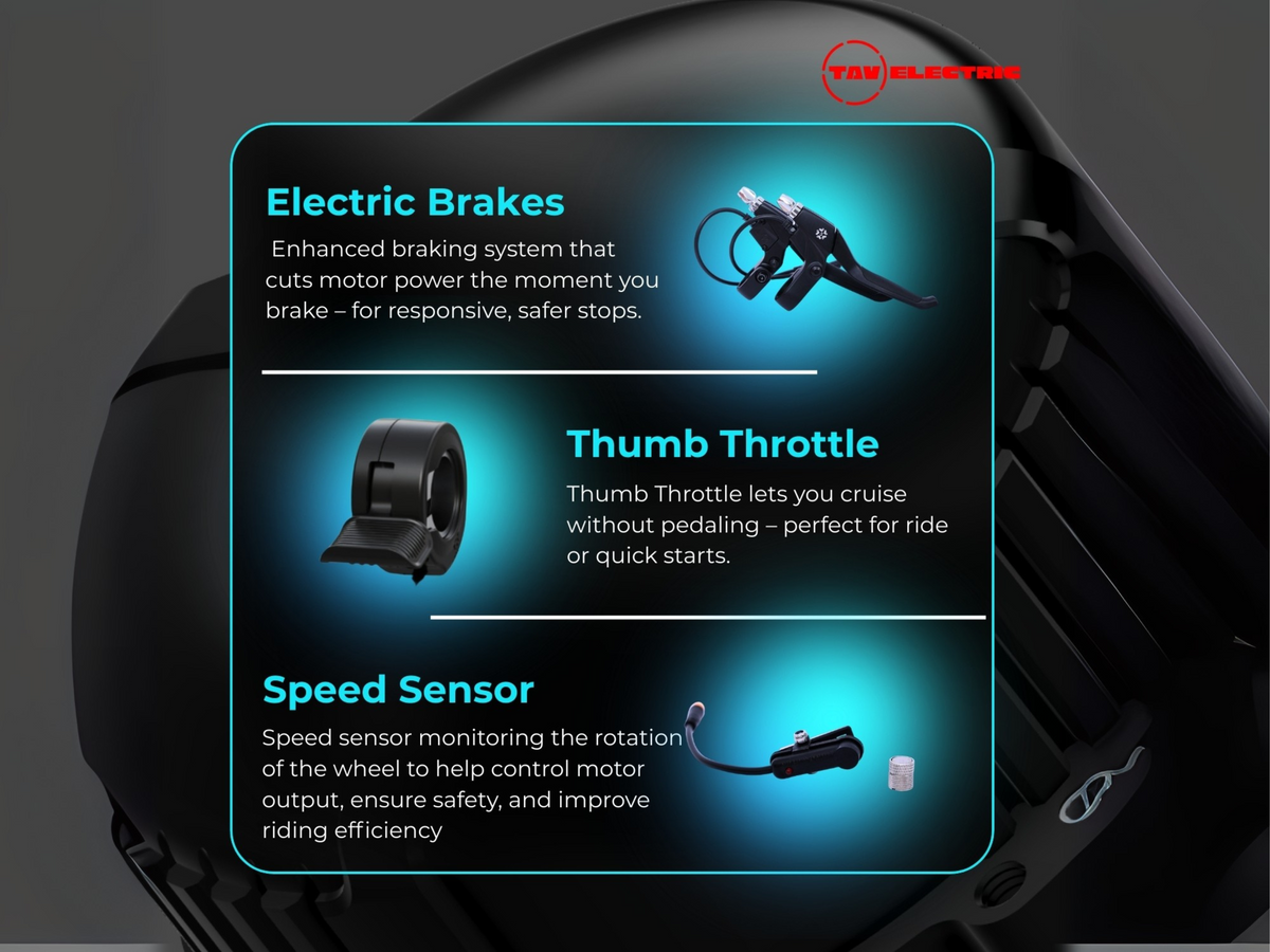 TAV Standard Conversion Kit 13.25 Ah