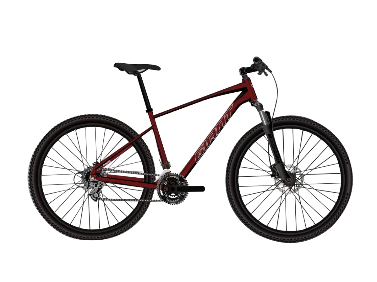 Giant Roam 2 Disc-Gu