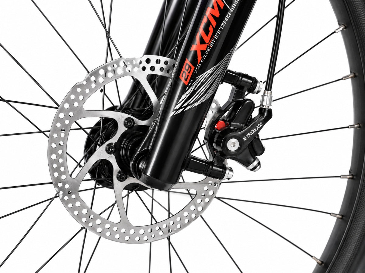 FitTrip Scrambler 29 Single Speed Bicycle