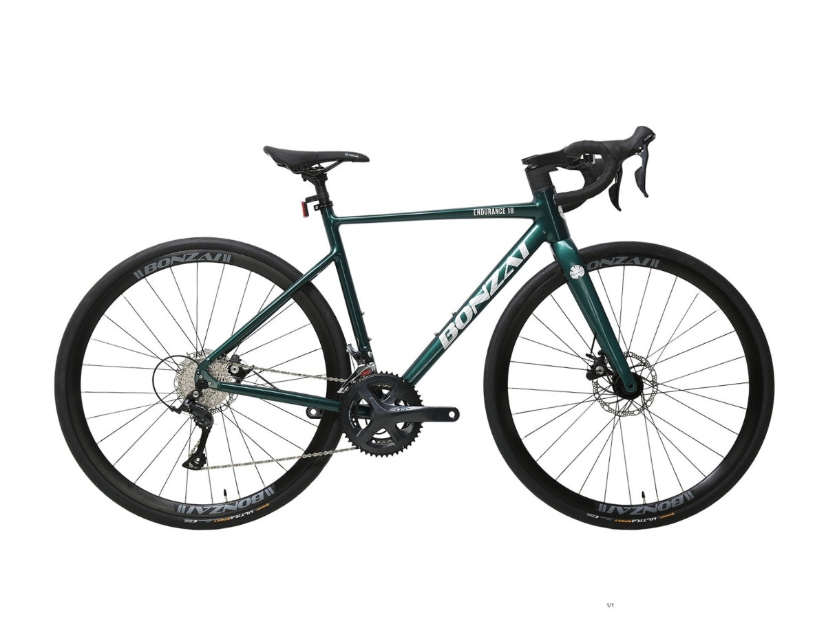 Bonzai Endurance 18 Road Bike