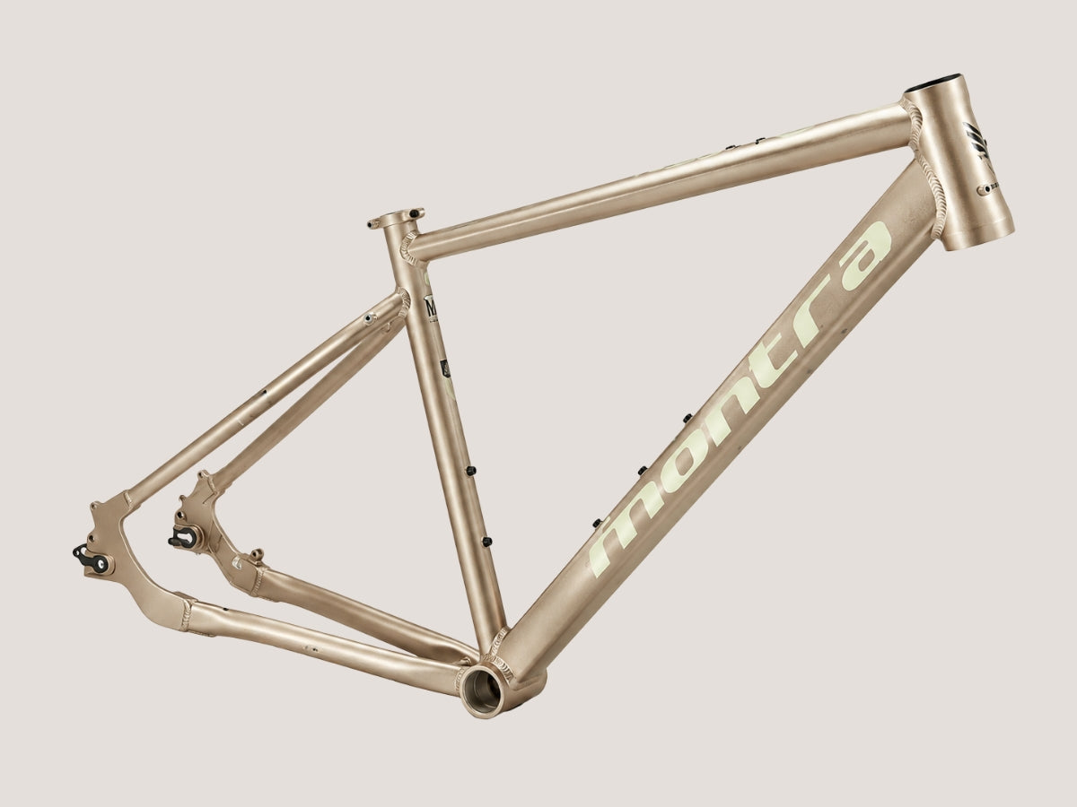 Montra Timba 700C SS D/Disc Bicycle