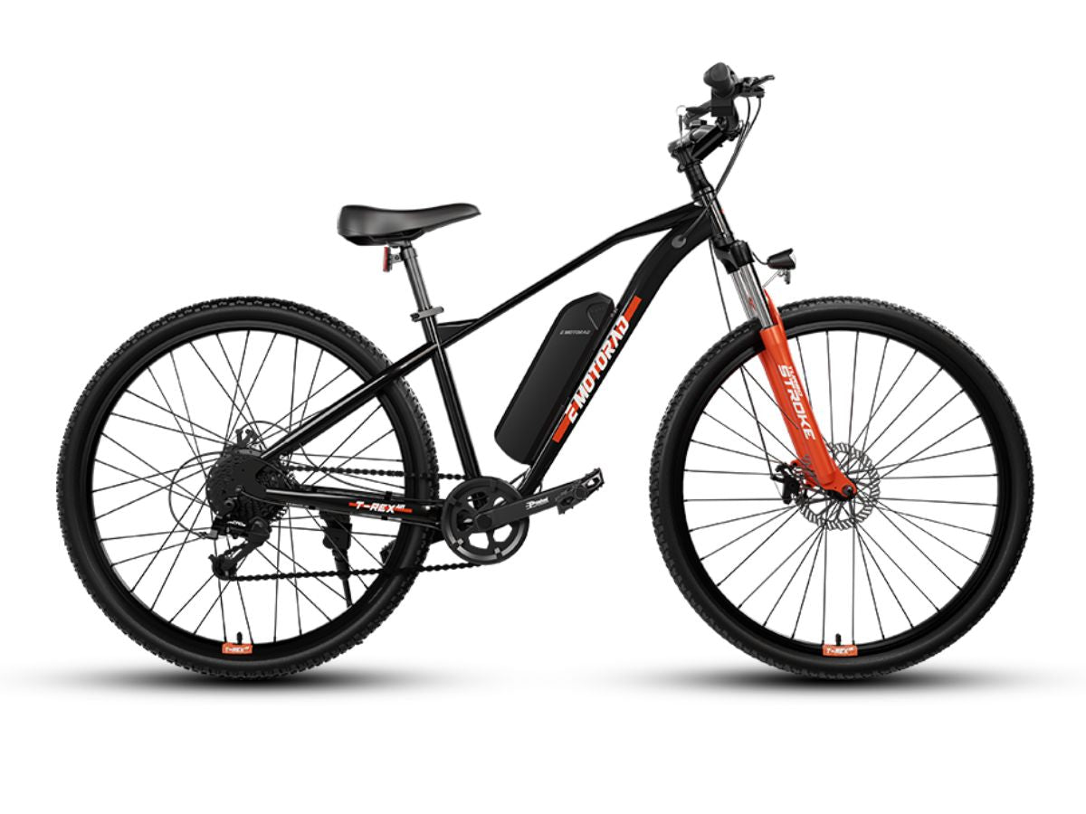 EMotorad 29 T-Rex Air