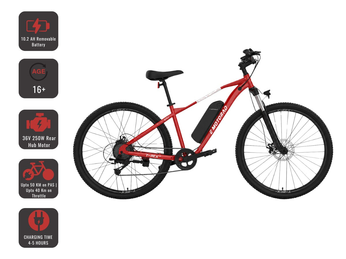 EMotorad 27.5 T-Rex Air