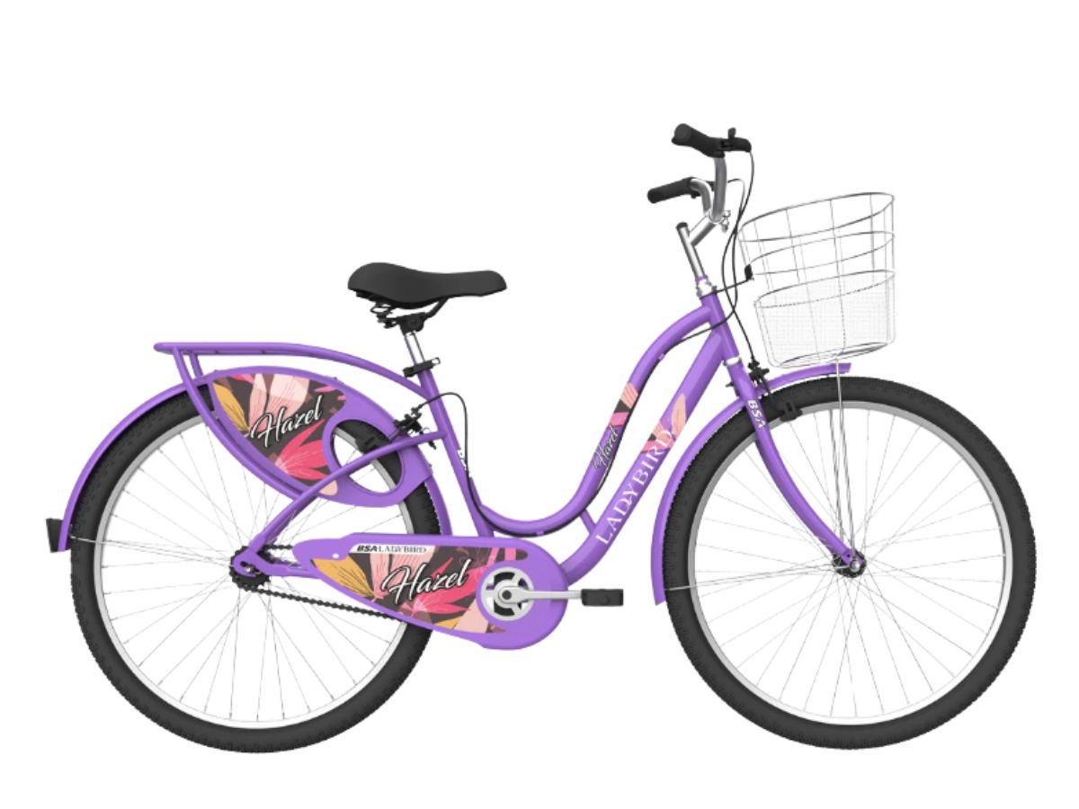 BSA Ladybird Hazel 24