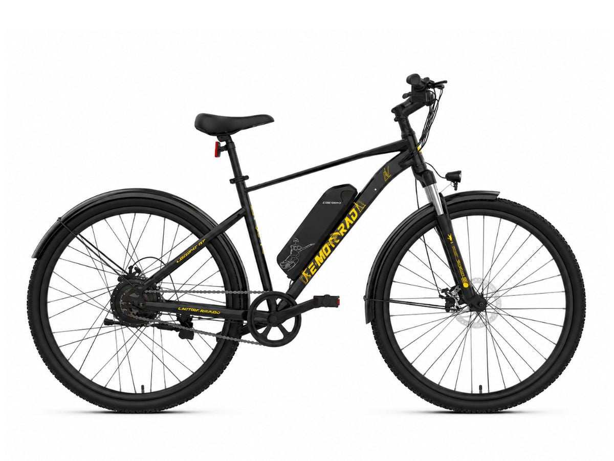 EMotorad Legend 07 SS