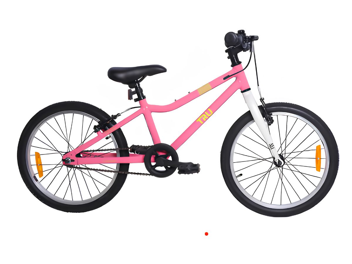 Tru 20 Joy Ss V-Brk Bicycle