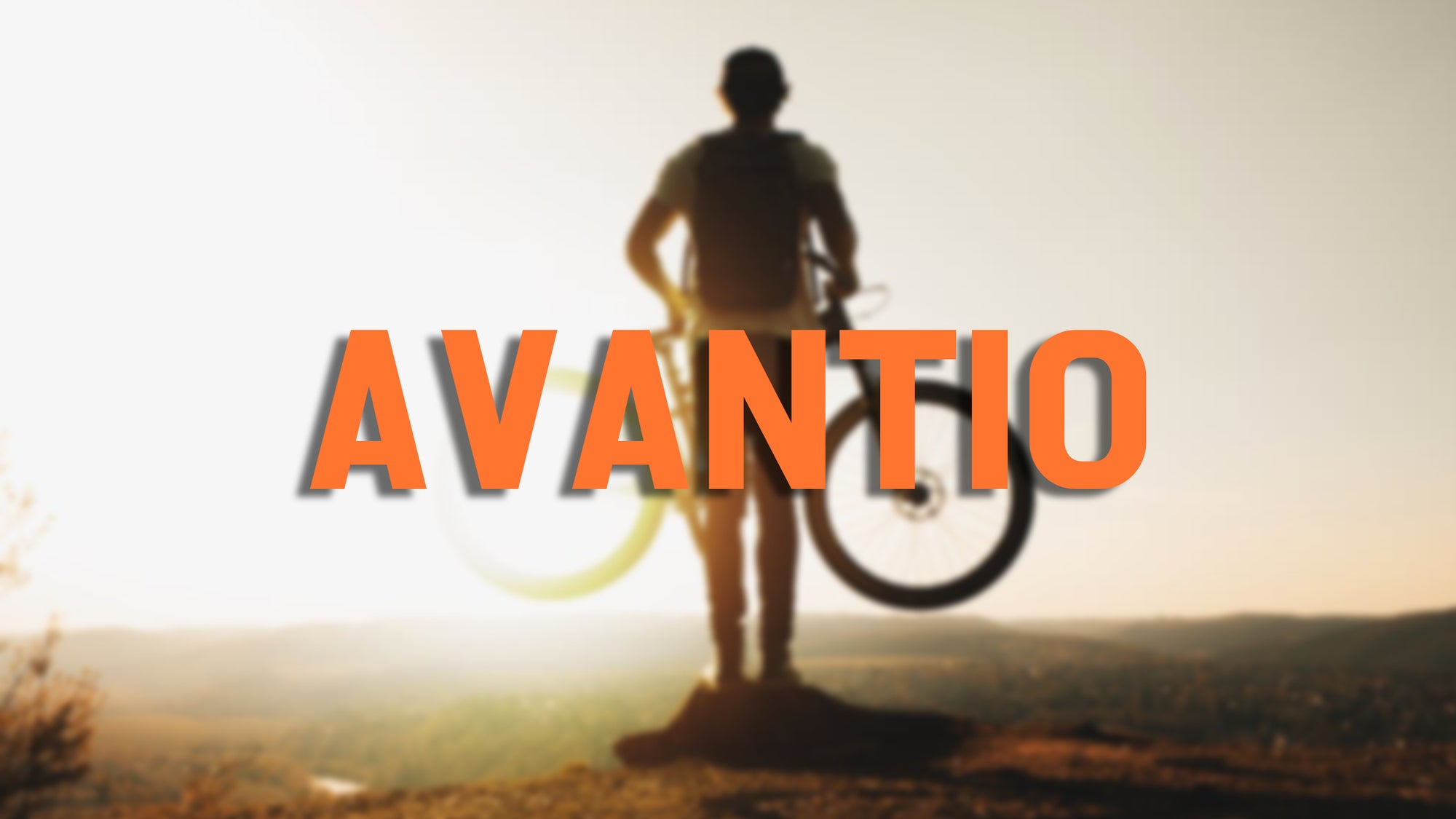 About Avantio