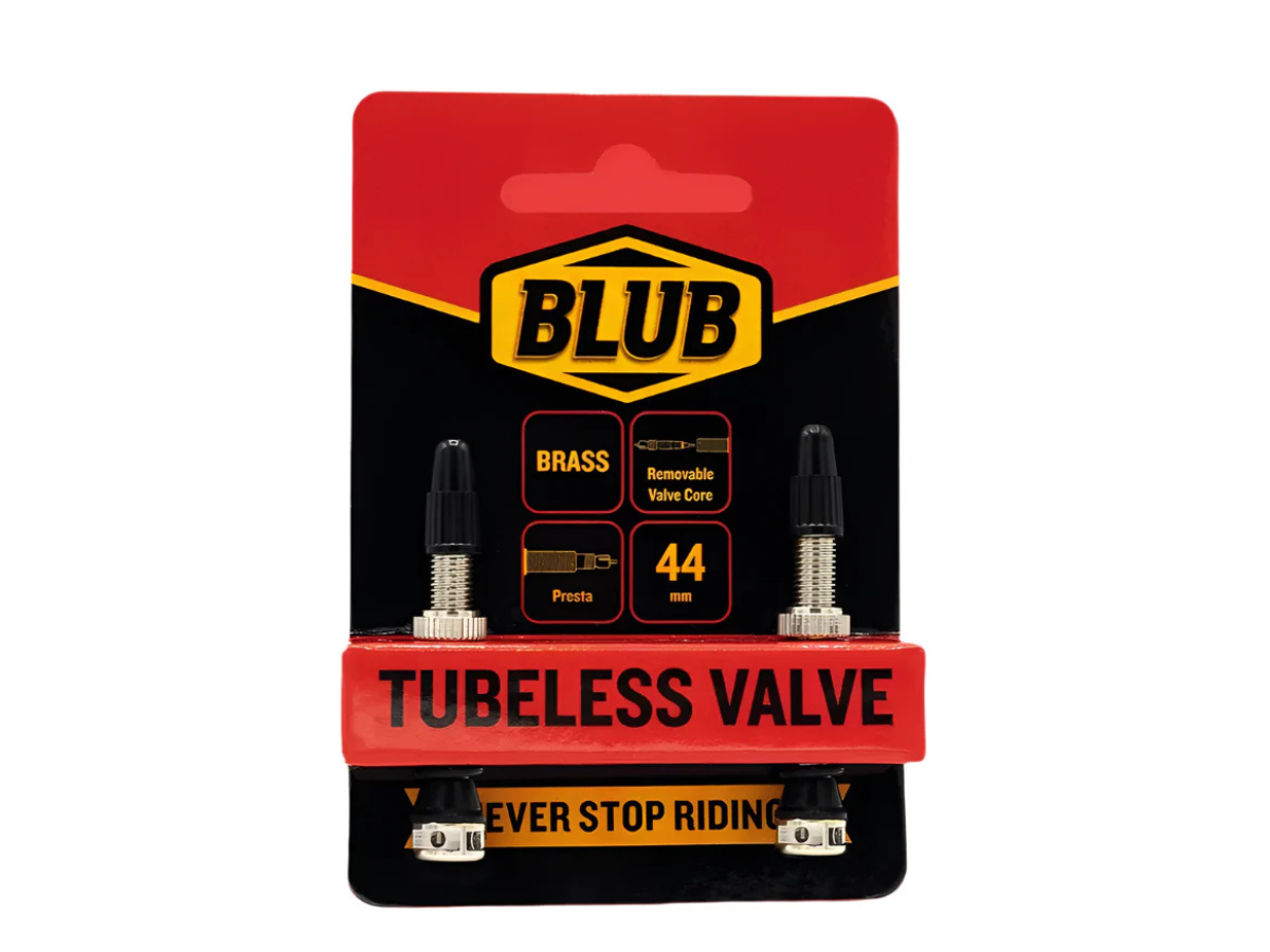 BLUB TUBELESS VALVES BRASS (NEW)