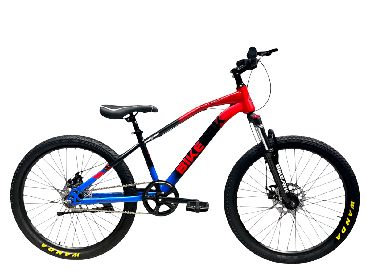 Bike Ark 24 God Speed SS Bicycle