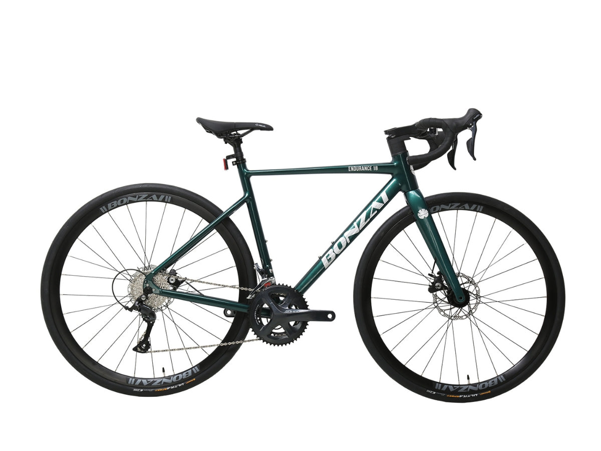 Bonzai Endurance18 Road Bike